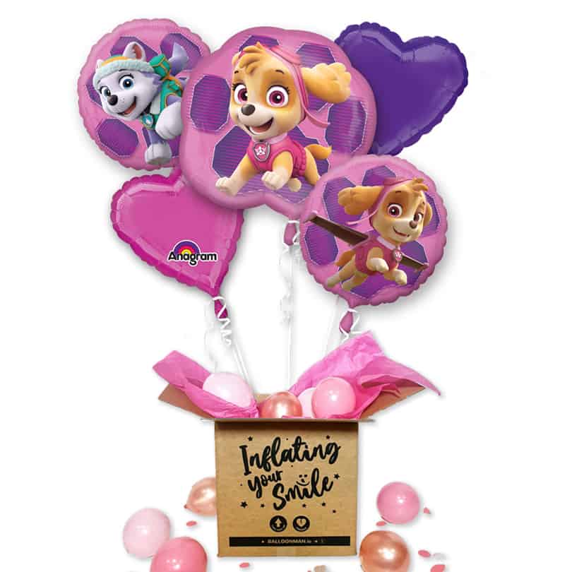 Paw Patrol Skye Foil Balloon Delivery