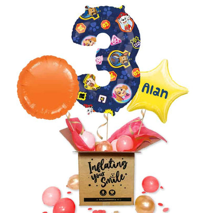 Paw Patrol Number 6 Balloon Delivery