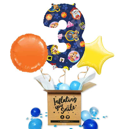 Paw Patrol Number 3 Balloon Delivery