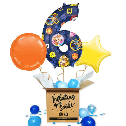 Paw Patrol Number 6 Balloon Delivery